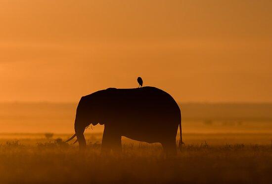 Wonder Bur Lounge & Cafe